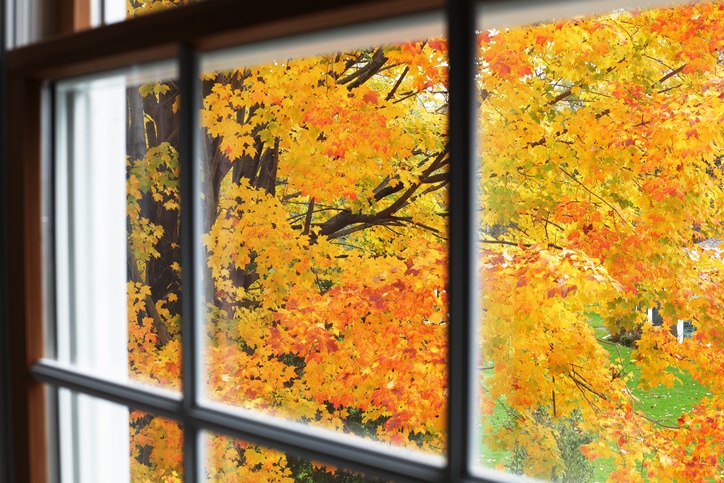 fall-autumn-window